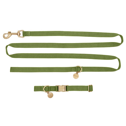 Collier Chiot Moss Breeze Vert Olive