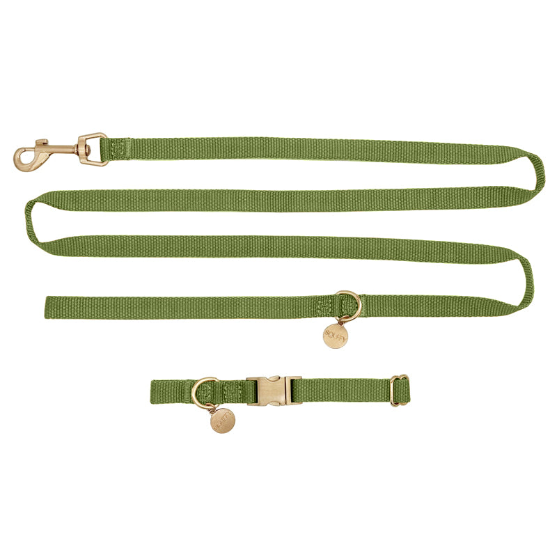 Collier Chiot Moss Breeze Vert Olive