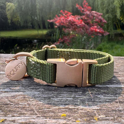 Collier Chiot Moss Breeze Vert Olive