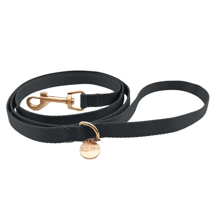 Laisse Chiot Raven Illume Noir