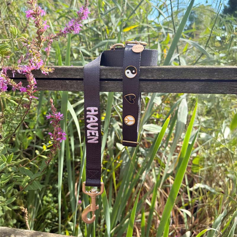 Laisse Chien Classique Raven Illume Noir