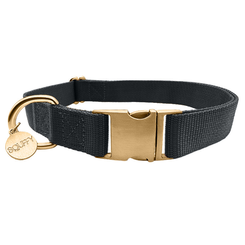 Collier Classique Chien Raven Illume Noir