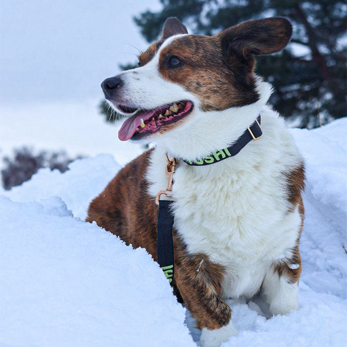 <p>Customer Experiences</p>