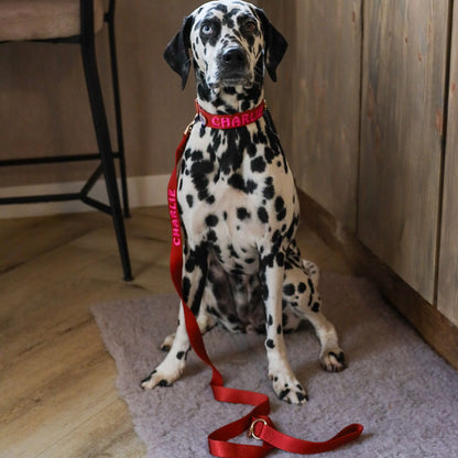 Laisse Chien Classique Ruby Gale Rouge Rubis