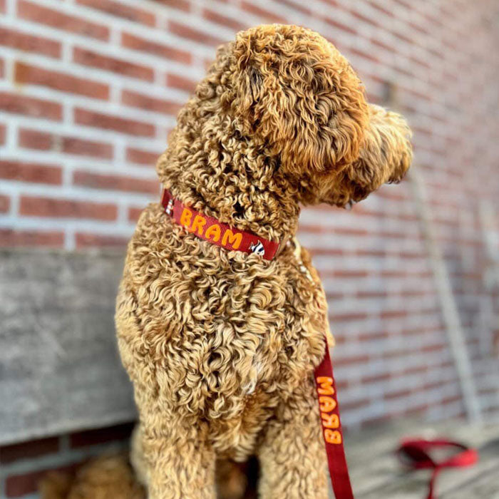 <p>Customer reviews</p>