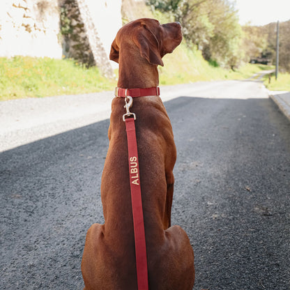 Laisse Chien Classique Ruby Gale Rouge Rubis