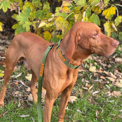 Collier Chien Tactique Moss Forge Vert Olive