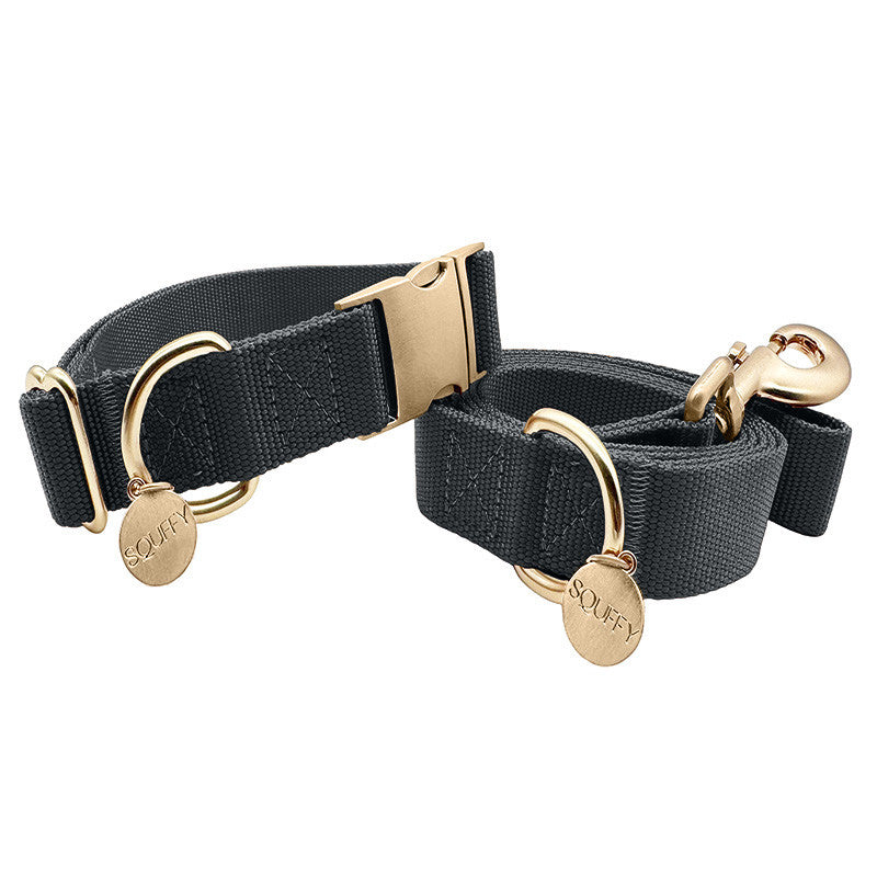 Collier Classique Chien Raven Illume Noir